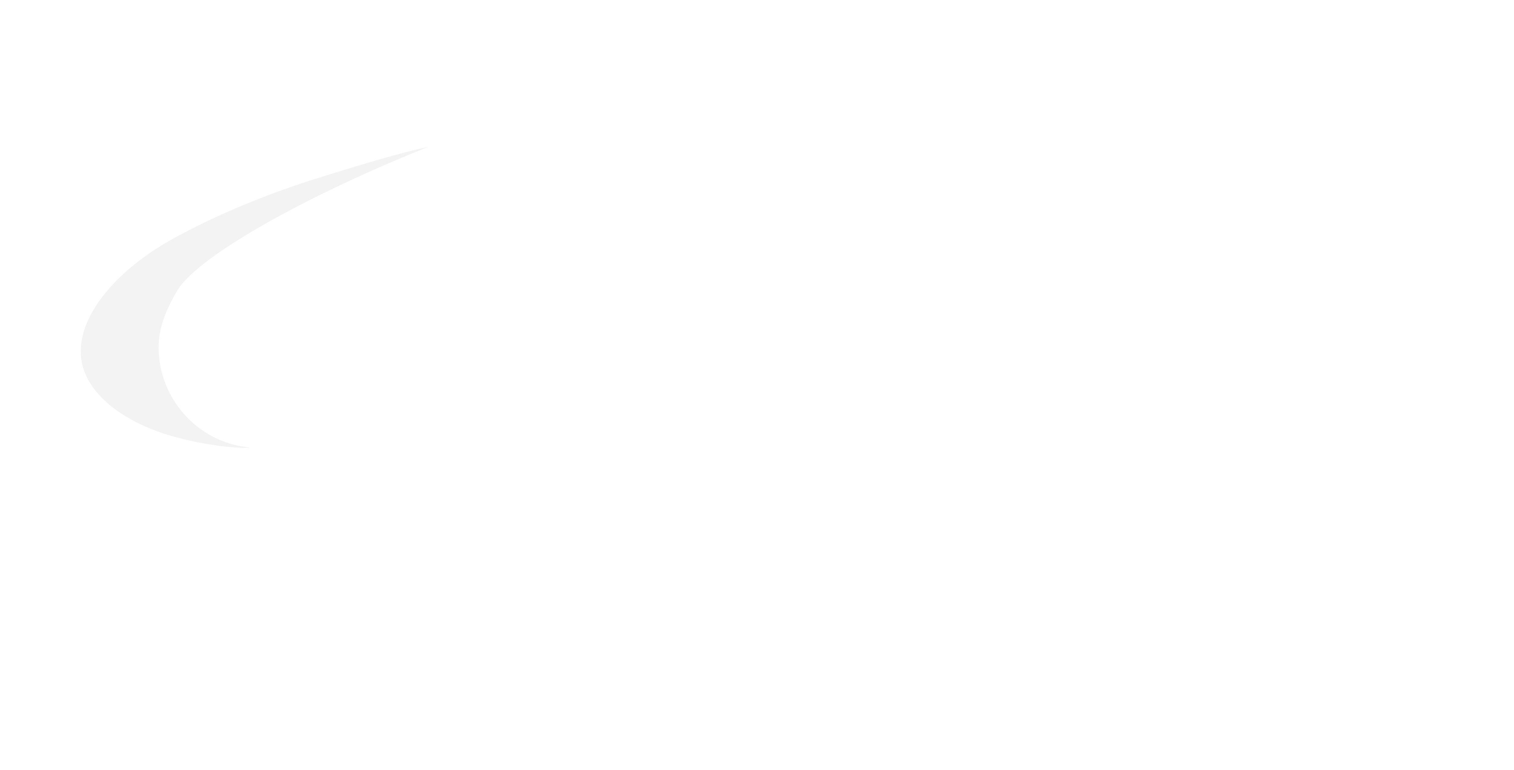 logo footer
